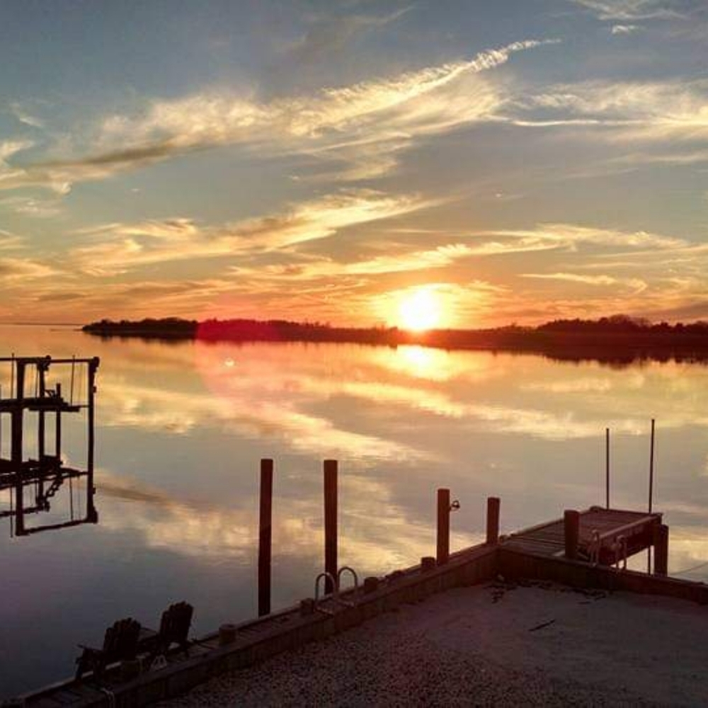 Meet your Posher, Sue